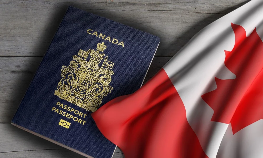 درک سیستم NOC: پایه و اساس انتخاب درست